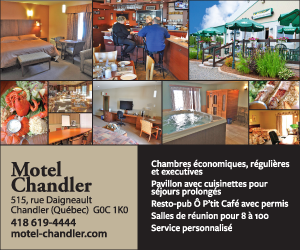 Motel Chandler  860