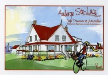 steluce-300x209.jpg
