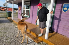 Image00003 Image00003