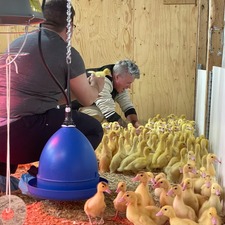 Fierté Charlevoix 2026