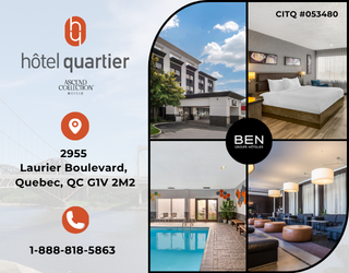 Pavé   Quartier   Eng V2